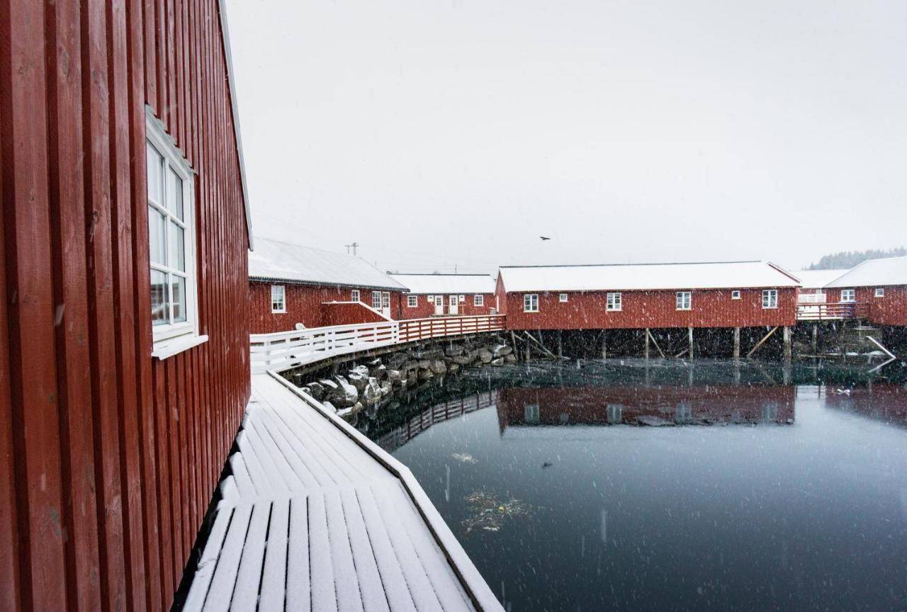 Lofoten Cabin And Kayak Rental Stamsund Kültér fotó