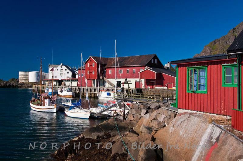 Lofoten Cabin And Kayak Rental Stamsund Kültér fotó